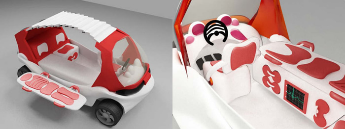 Land and Water CarNurse Concept